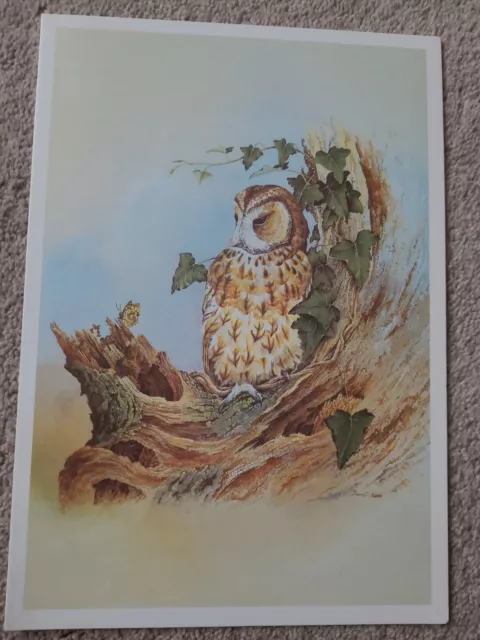 Vintage Canberra Cruise Luncheon Menu - Thursday 6Th  August 1987  - Tawny Owl