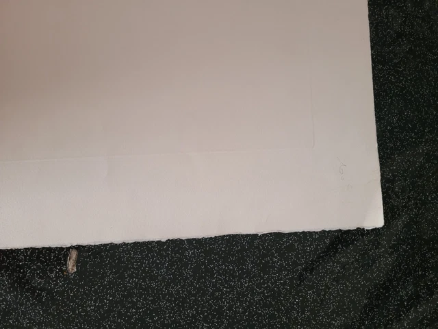 Lithographie signée et numérotée signature à identifier 7/100 15