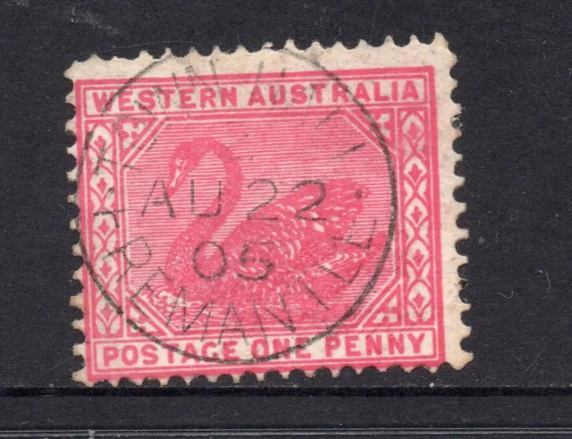 1903 Western Australia One Penny stamp 1d. Carmine-rose Crown V wmk P12½ SG117
