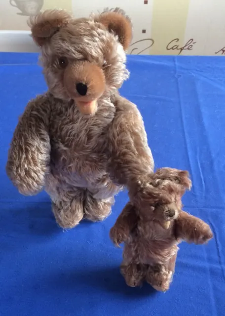 Steiff Teddy Bär - 2 alte Bären - vermutlich Steiff !! - 30 cm + 17 cm lang !!