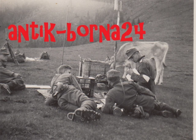 Foto WH 3. Gebirgs-Division Funker Funkgerät Radio Gebirgsjäger Geb.Jg.  *159