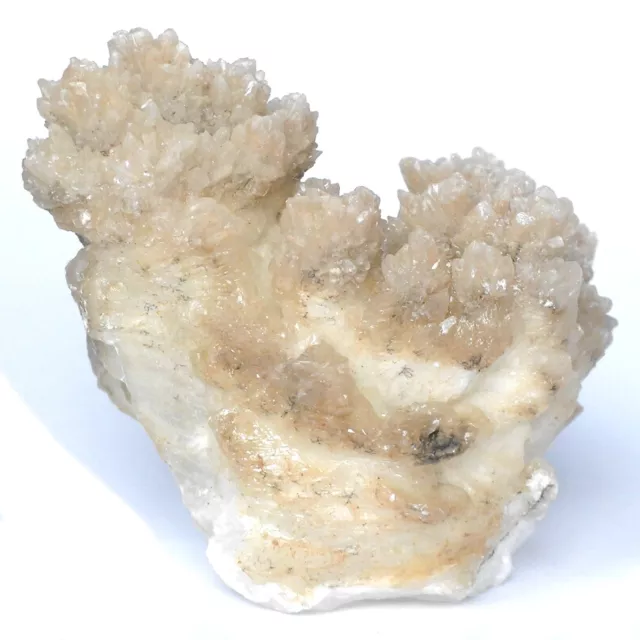 Hübsche ARAGONIT Baum Stufe aus Marokko ca. 66 x 65 x 53mm ungebleicht 1703
