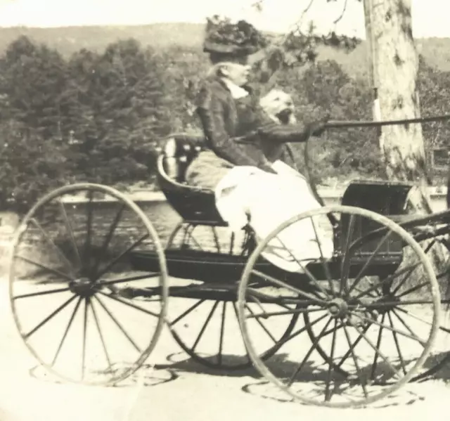 Antique RPPC Horse Buggy Older Woman Fancy Hat Pet Dog #145