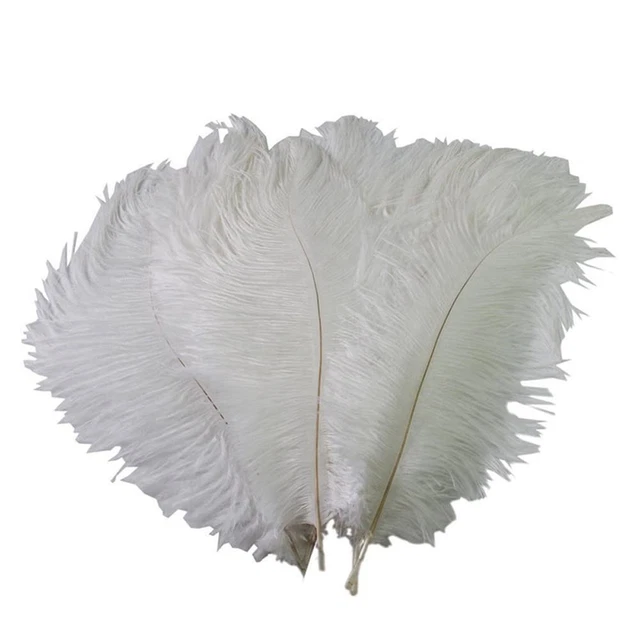 40-45cm pennacchio naturale piume di struzzo per festa di carnevale casa matrimo