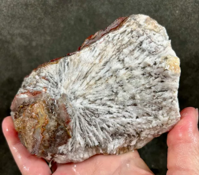 Snowflake Plume Rough *1.96 pounds* - Mexico!