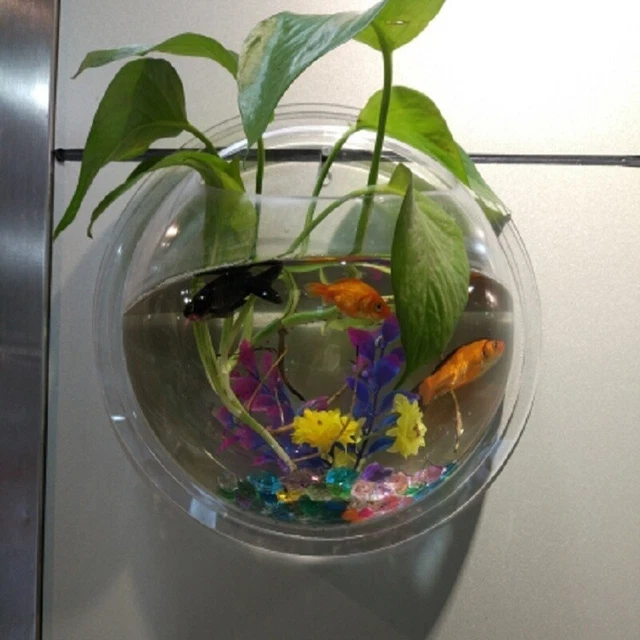 Hanging Wall Fish Tank Mounted Clear Bowl Bubble Aquarium Terrarium Goldfish Box 9