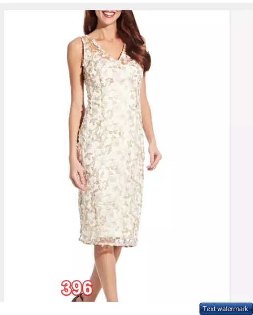 ADRIANNA PAPELL Embroidered Sleeveless Sheath Dress Women's Dress Ivory Sz2