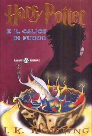 Harry Potter e il calice di fuoco : romanzo