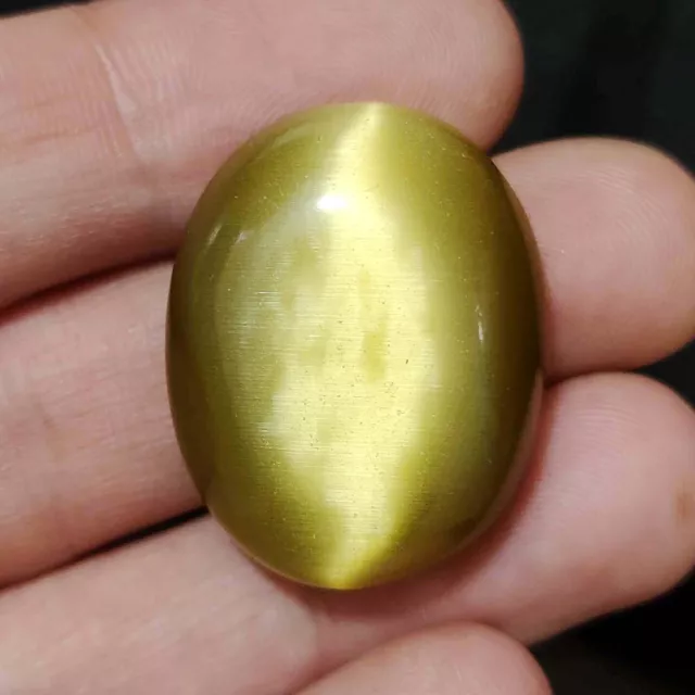 67.25 Cts Natural BI Color Cat's Eye  Cab Shape  Excellent  Gemstone