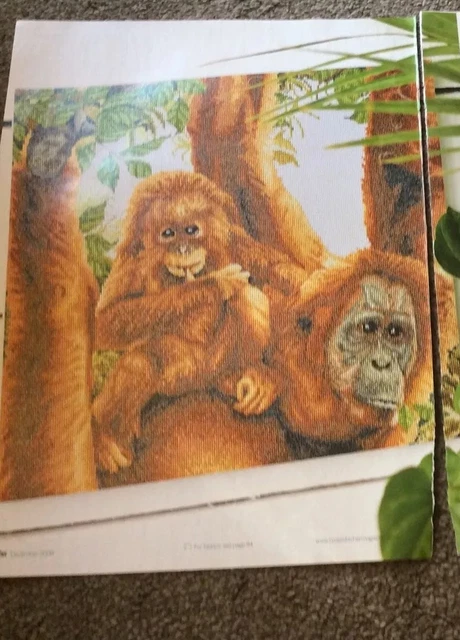 JAYNE NETLEY MAYHEWS Orang-utans Design Cross stitch chart Only / 1686 ...