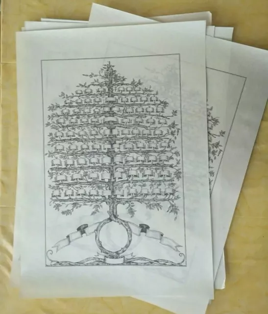 ALBERO GENEALOGICO ANTICO in pergamena 70x50 cm Genealogie famigliari 1+1  GRATIS EUR 25,00 - PicClick IT