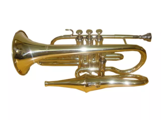 BUY IT NOW! NEW GOLDEN BRASS FINISHING Bb ECHO CORNET+FREE HARD CASE+MOUTHPIECE