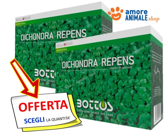 Bottos DICHONDRA REPENS → 100-500 gr / 1 kg - Semi Prato, Tappeto Erboso Folto