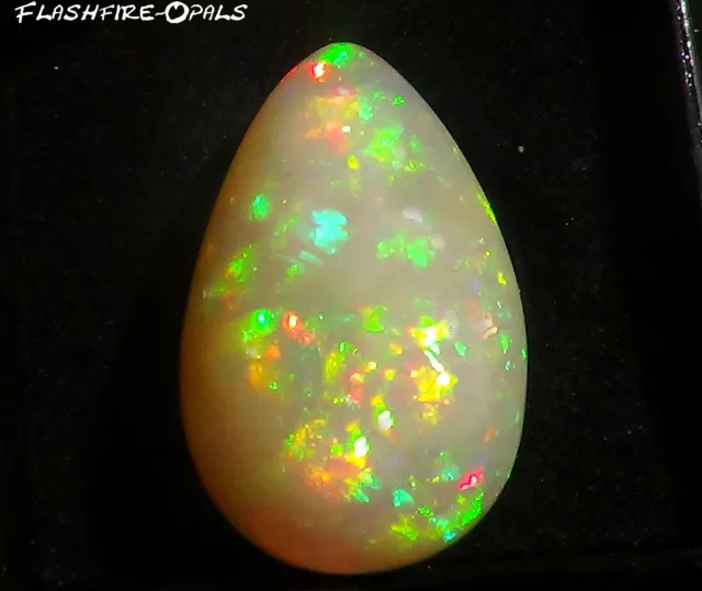 21,2ct. Brillant Gemme Welo Opale Orange-Gold-Grün Video Flashfire-Opals