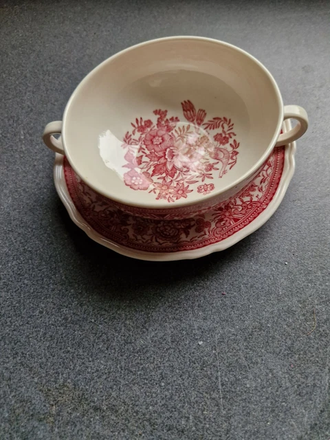 2 SUPPENTELLER SUPPENTERRINE Villeroy Boch Fasan Rot Mit Untersetzern ...