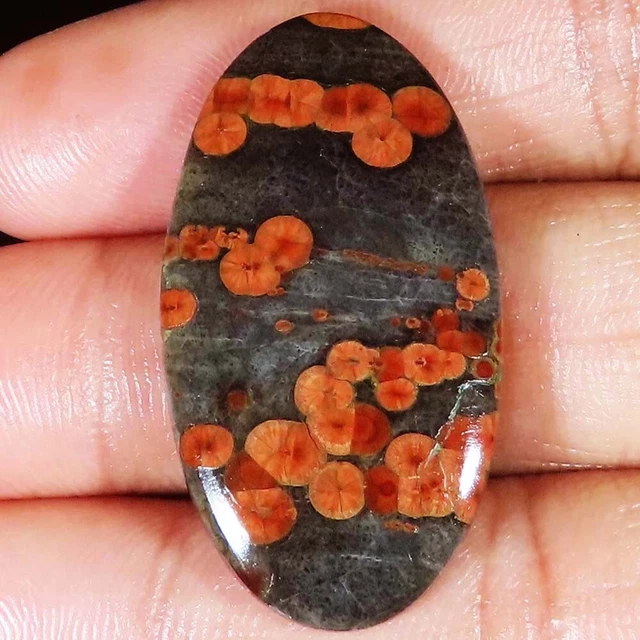 (22x40x05 MM Größe) 38.65 Cts. Natürlich Erdnuss Obsidian Ovale Form Lose