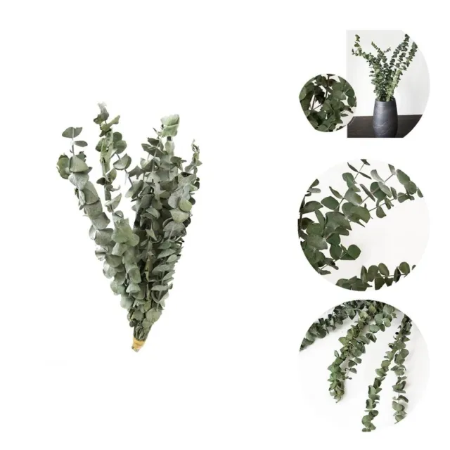 10 piezas/ramo de hojas verdes de eucalipto toque realista te mantiene relajado