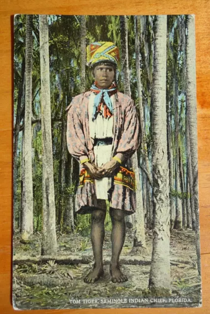 Tom Tiger, Seminole Indian Chief FLORIDA illustrated postcard
