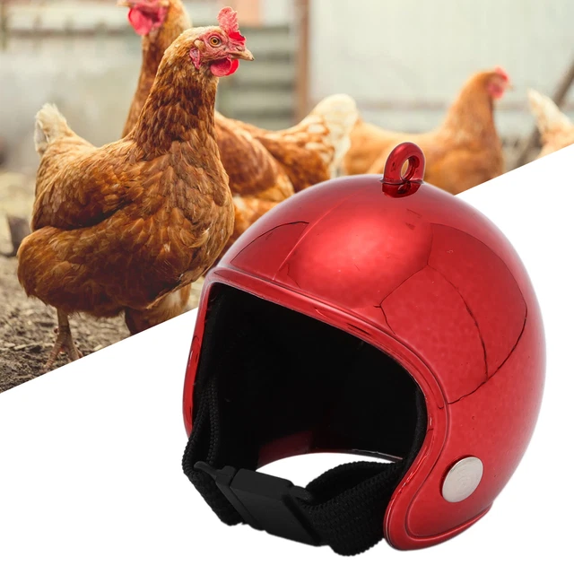Cuffie Di Pollo Divertenti Per Animali Domestici EyeCatching E Copricapo Di DB3