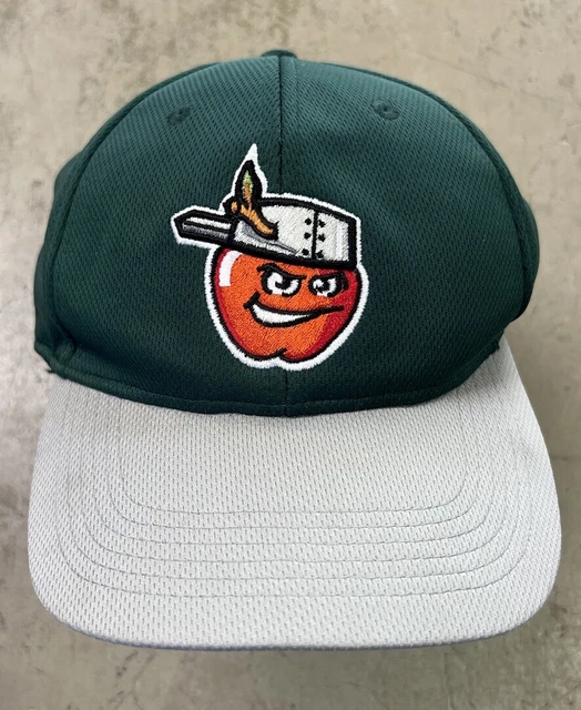 FORT WAYNE TINCAPS Minor League Youth Ball Cap Hat Adjustable Baseball