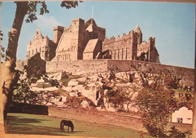 Irish Postcard THE ROCK OF CASHEL with Horse County Tipperary Ireland NPO 4x6