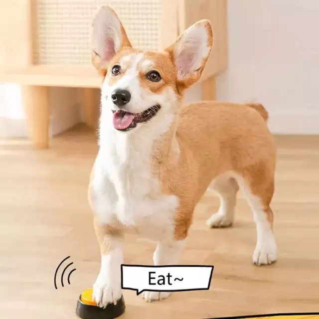Pet Recordable Talking Button for Puppy Dog Training Interactive Toy Pet Product