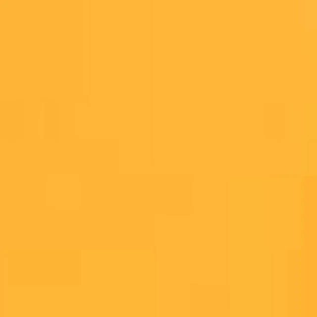 Orange Color Correction Gel Filter Sheet 16x20 inches 4 Pieces 1/2 CTO Photog...