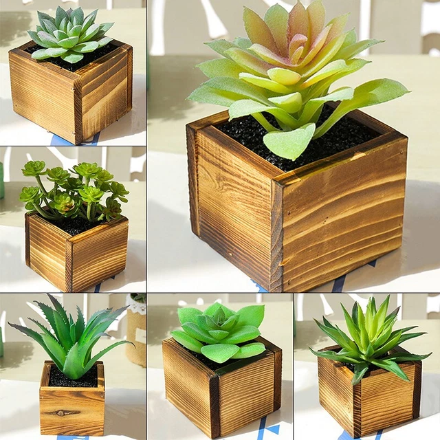 Vasi Piante Grasse In Resina YXYT Fioriere Bonsai Pastorali Giardino E Decorazioni La Casa Da 920,04 € | DHgate
