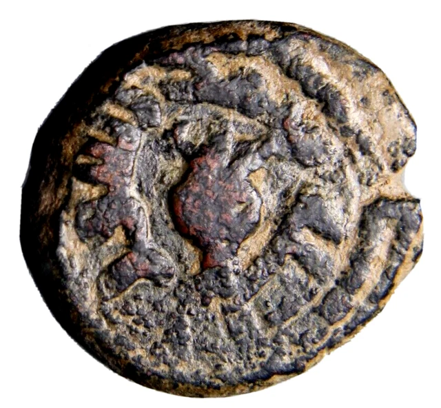 CERTIFIED AUTHENTIC Medieval Islamic Coin Umayyad Palestine Pomegranate #1 CERTIFIED AUTHENTIC Medieval Islamic Coin Umayyad Palestine Pomegranate #1