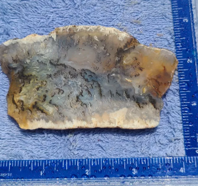 Graveyard Plume Agate slab