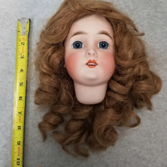 6" antique bisque German Armand Marseille Queen Louise Doll HEAD - no body TLC