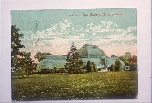 Kew Gardens Postkarte 1904 Poststempel Das Palmenhaus Richmond London Vororte