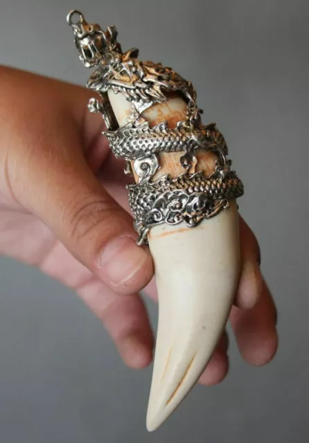 Chinese Antique Wild Boar Teeth Wild Boar Silver Dragon Amulet Necklace Pendant