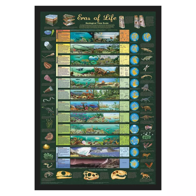 (FRAMED) ERAS OF LIFE GEOLOGICAL TIME SCALE POSTER (66x96cm) PICTURE PRINT ART