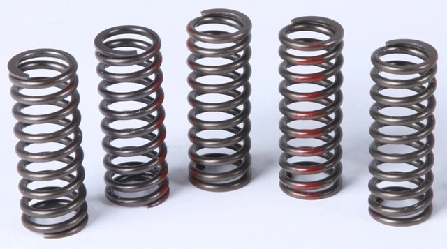 Pro Circuit Clutch Springs - CSH10250-CS