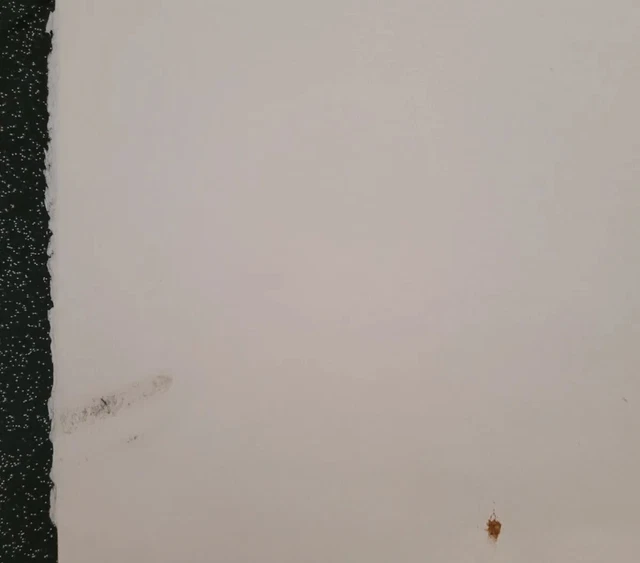 Véronique JORDAN-ROMAN (1943-1991) eau forte ? Lithographie numérotée et signee 8