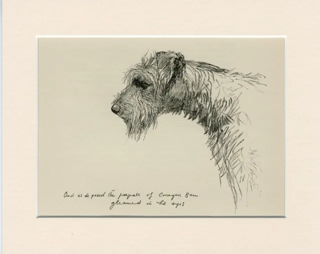 KERRY BLUE TERRIER VINTAGE 1939 OLD DOG ART PRINT by  K F BARKER READY MOUNTED