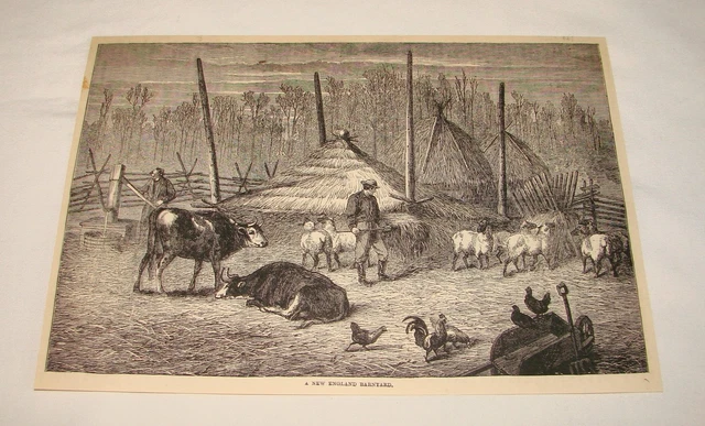 1885 magazine engraving ~ A NEW ENGLAND BARNYARD