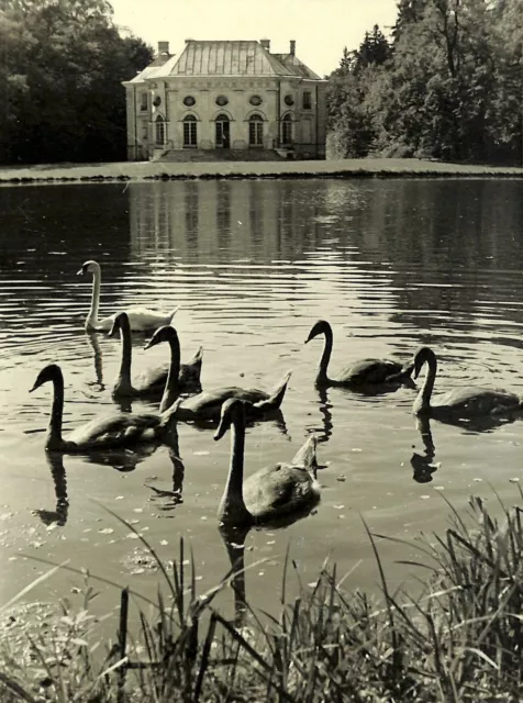 WOLFF & TRITSCHLER Foto Leicaprint Original 1940er Jahre