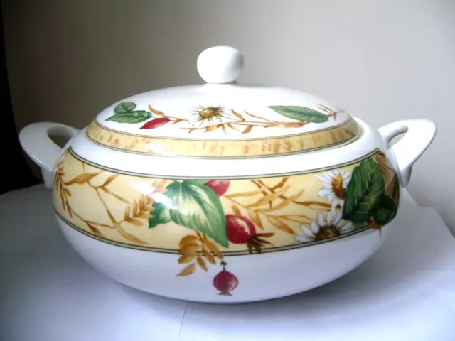 Royal Doulton Expressions Edenfield Lidded Casserole/Vegetable Dish V.g. Used C