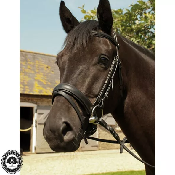 Heritage English Leather Comfort Bridle With Flash Noseband – Extra soft padding