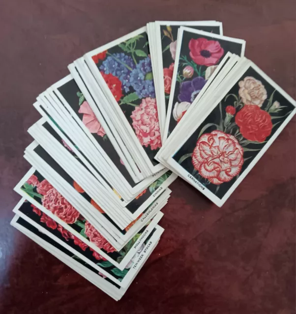 Carreras 1936 Flower Cards Complete Set Of 50