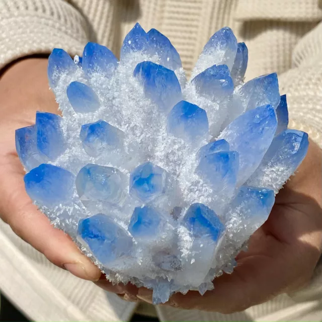 1.6LB New Find sky blue Phantom Quartz Crystal Cluster Mineral Specimen Healing