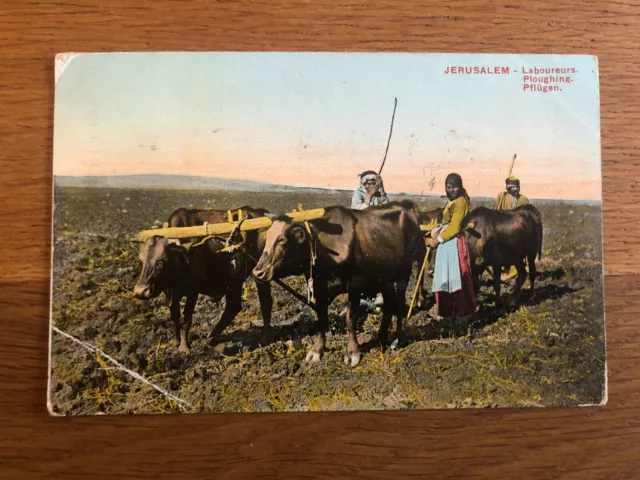 Vintage Postcard Israël 🇮🇱 Jerusalem Labourers Ploughing With Cattle 1951