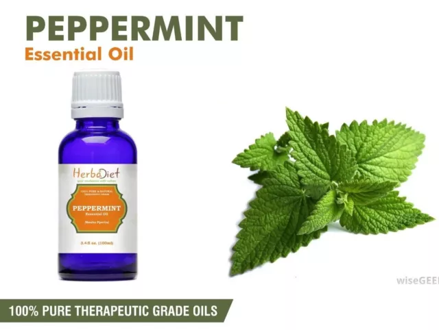 Peppermint Essential Oil 100% Pure Natural Aromatherapy Oils Therapeutic Grade