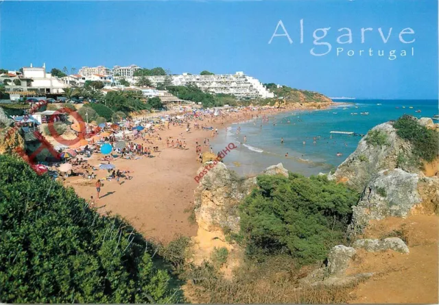Picture Postcard:;Algarve, Albufeira, Praia Da Oura