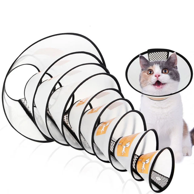 Animali Elizabeth Protezione Anello Cane Anti-morso Bellezza Semplice Soft Gat -