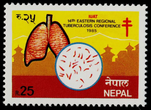 Nepal 435 MNH Eastern regional Tuberculosis Conference