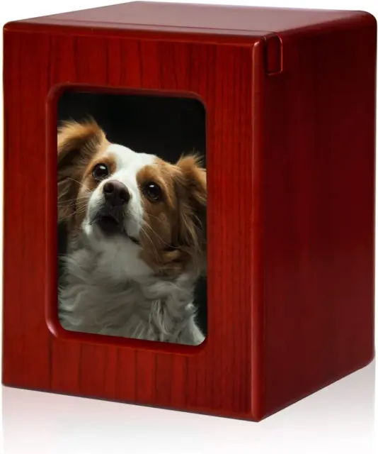 PCS Pet Urns for Dogs Ashes, Dog Photo Urn, Urns for Dog Ashes, Pet Cremation Bo
