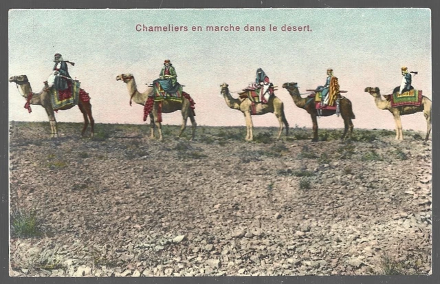 Cpa -- Cameliers Walking In The Desert . Written In 1919 . 169.J